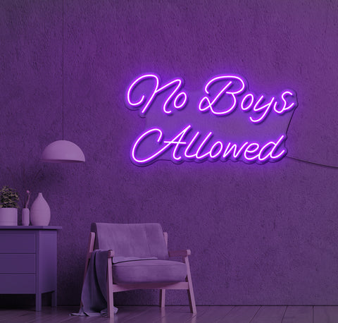 No Boys Allowed LED Neon Sign