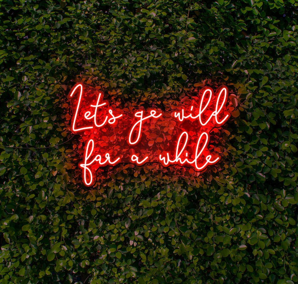 Lets Go Wild For A While LED Neon Sign
