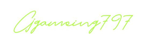 Custom Neon 22/02/2026 10:48