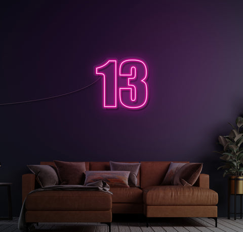 13 LED Neon Sign