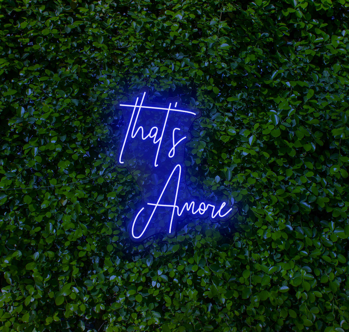 That's Amore LED Neon Sign