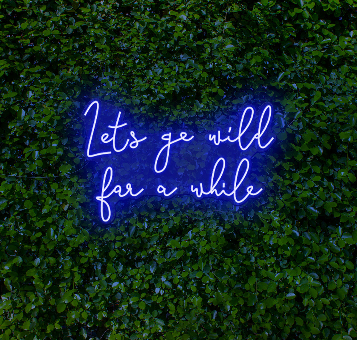 Lets Go Wild For A While LED Neon Sign