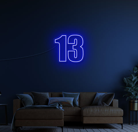 13 LED Neon Sign