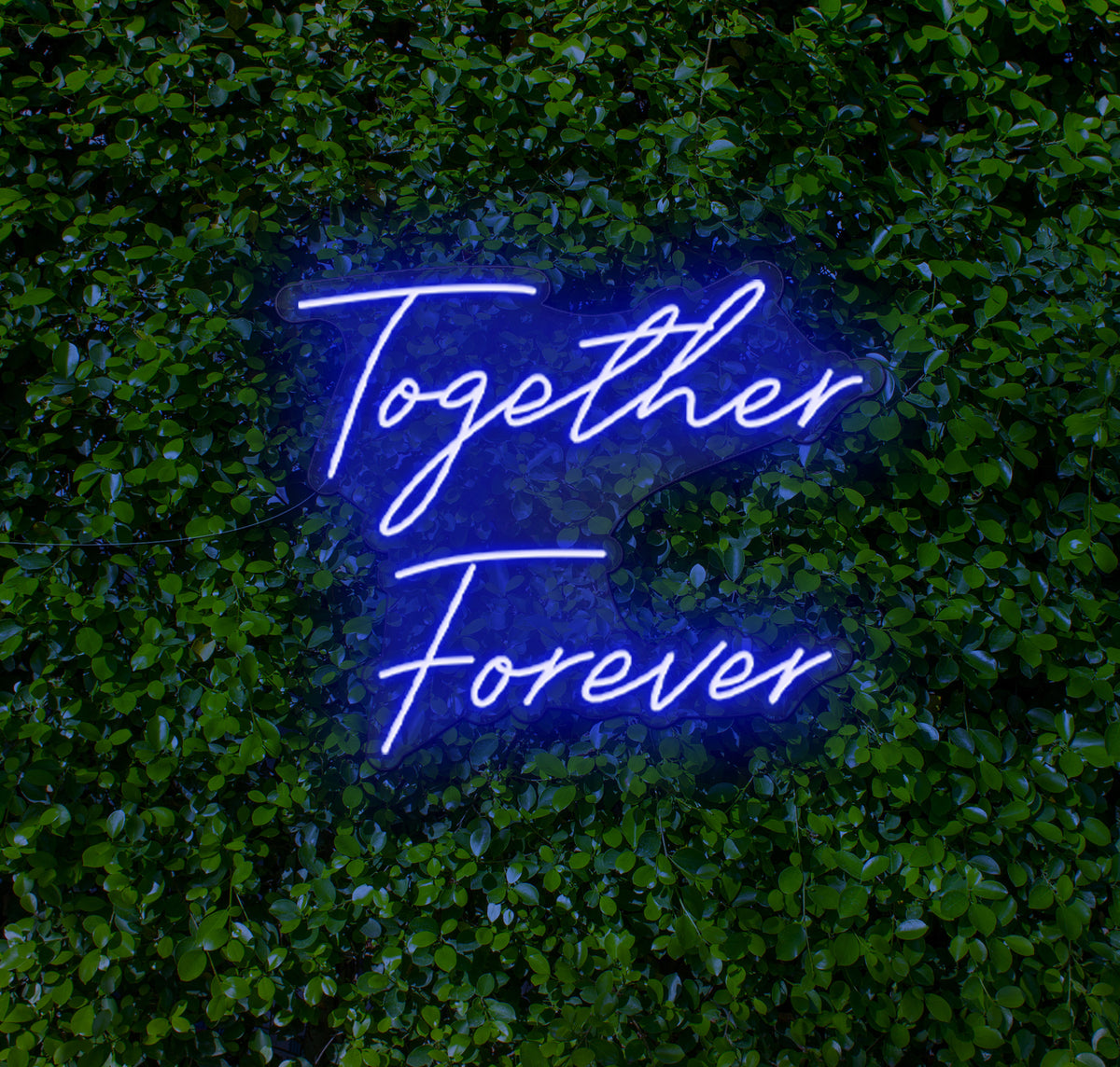 Together Forever LED Neon Sign