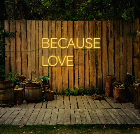 Because Love LED Neon Sign