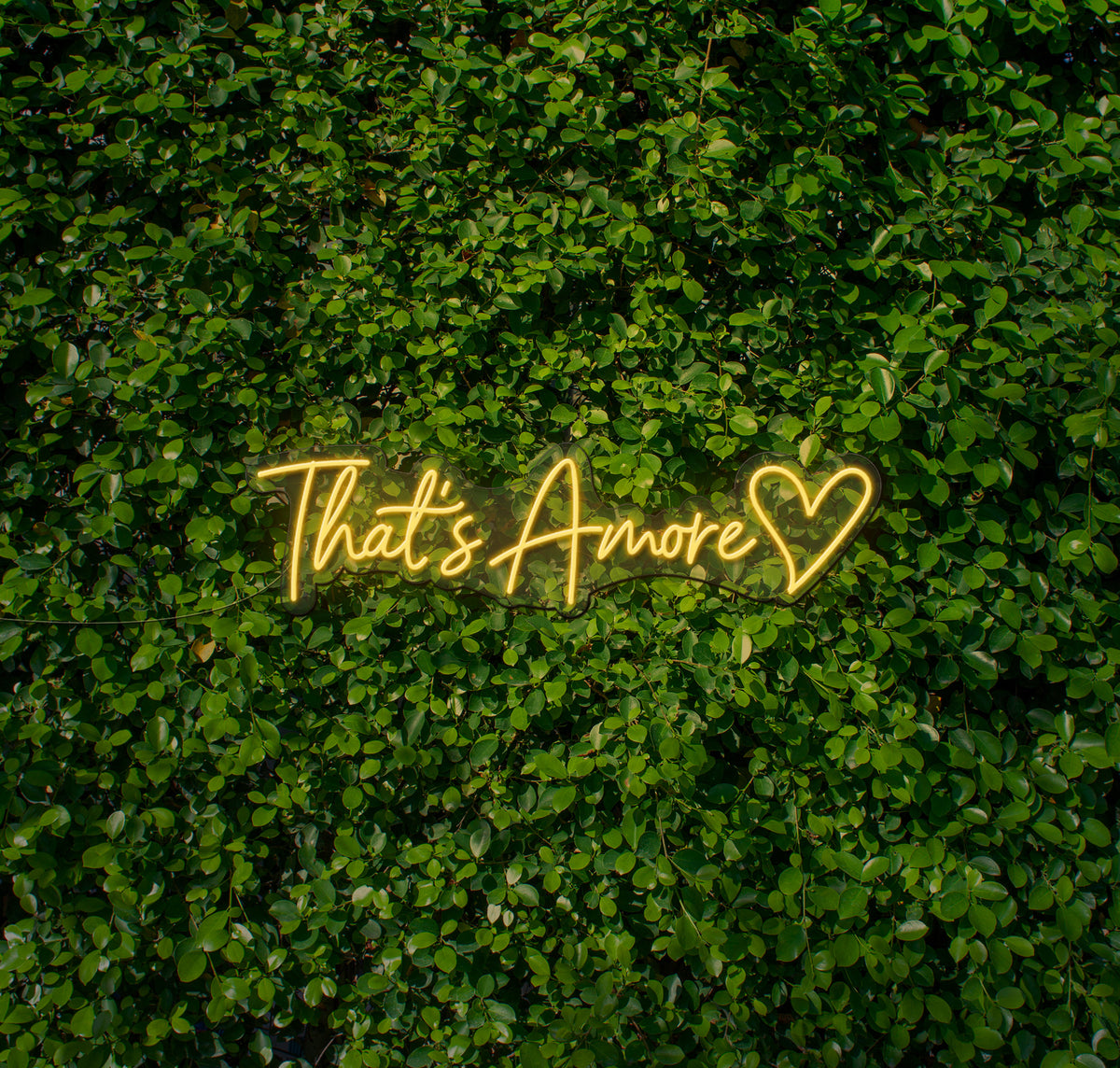 That's Amore (Heart) LED Neon Sign