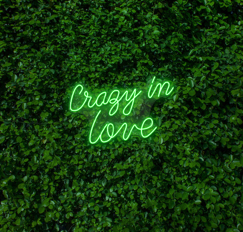 Crazy In Love LED Neon Sign