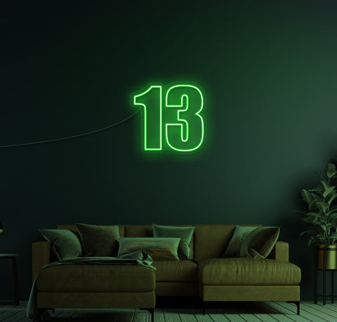 13 LED Neon Sign