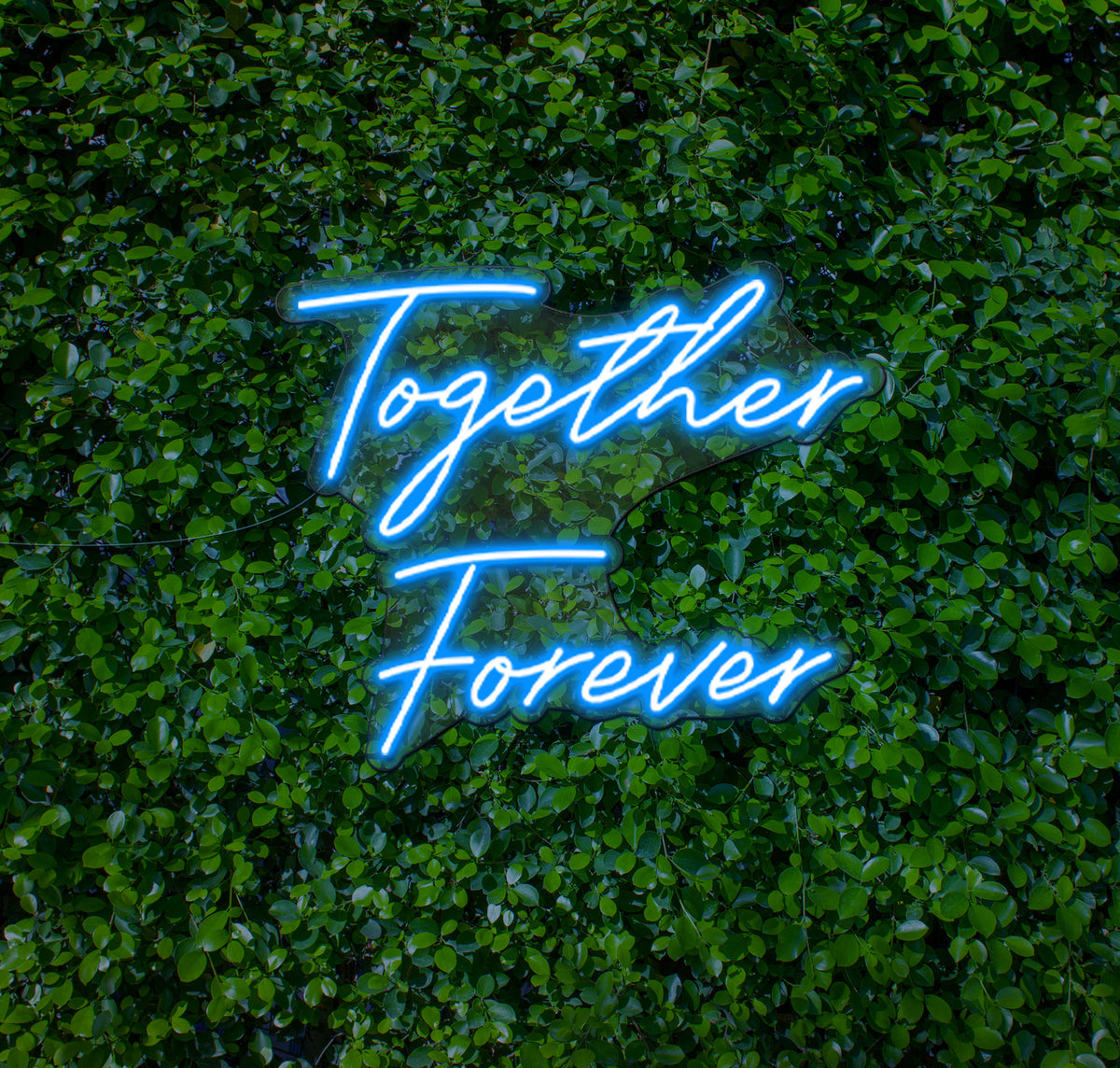 Together Forever LED Neon Sign