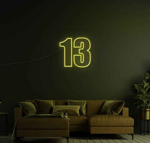 13 LED Neon Sign