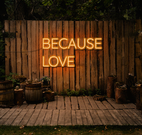 Because Love LED Neon Sign
