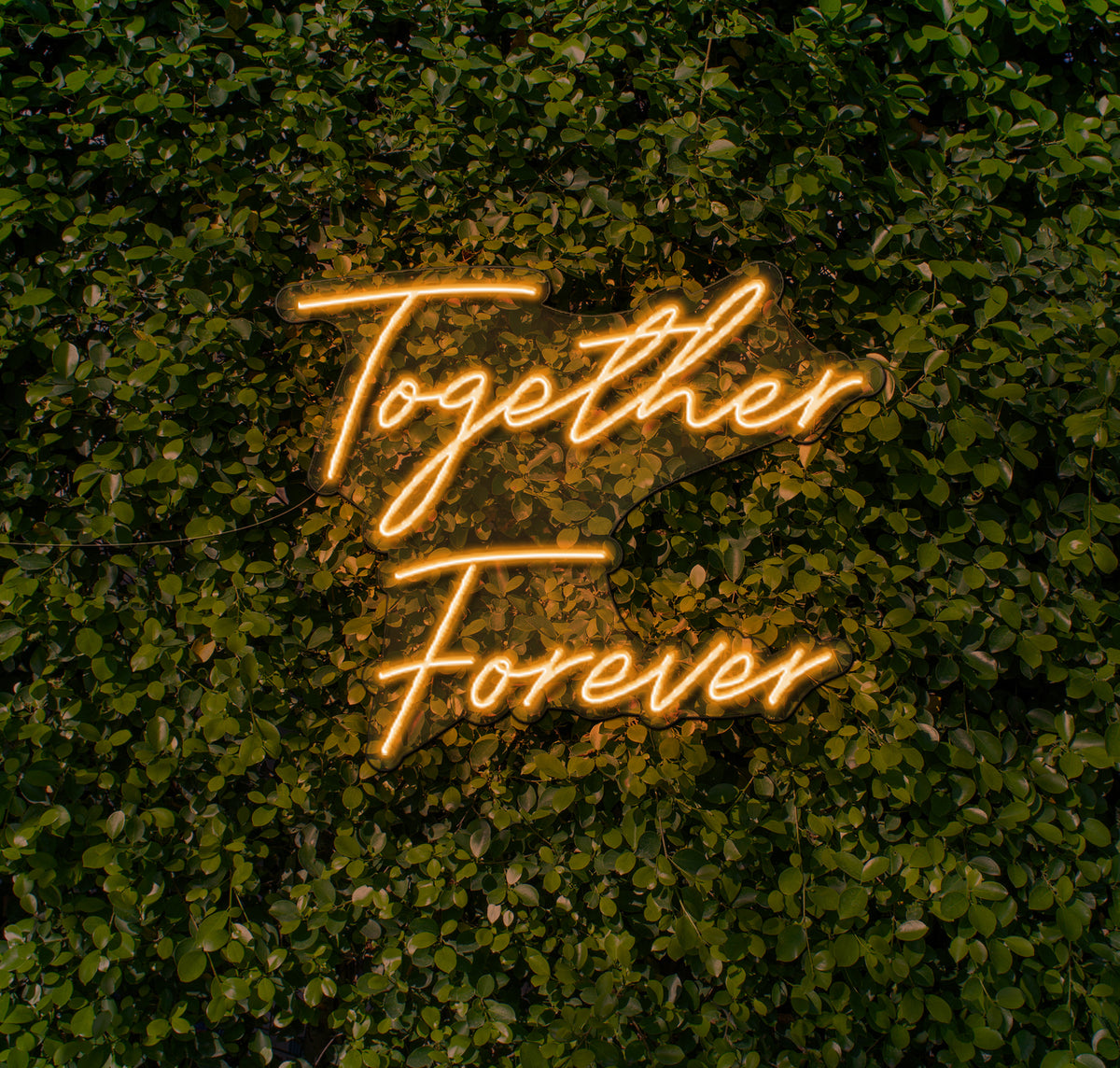 Together Forever LED Neon Sign